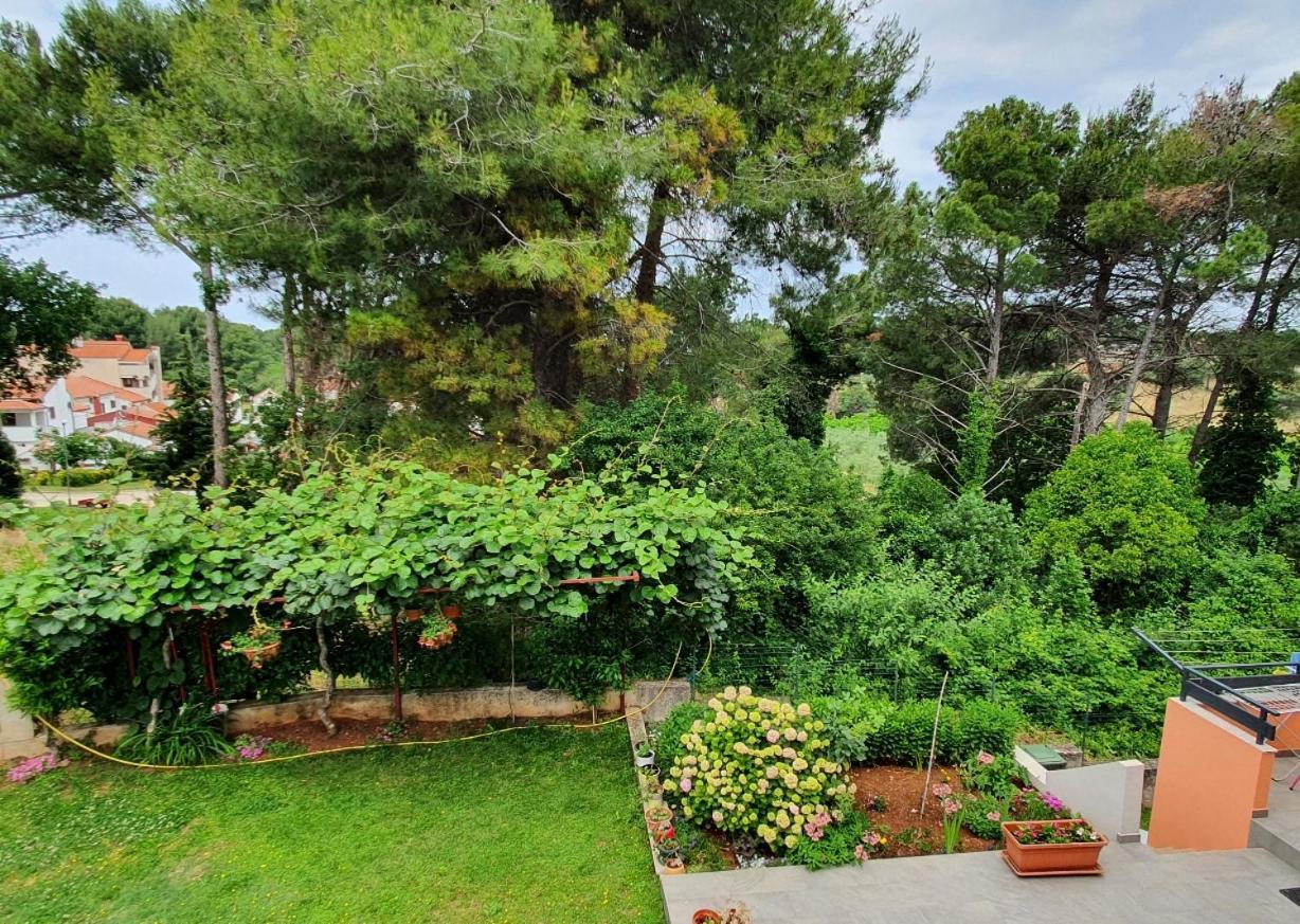 Juli No 2 Apartment Porec